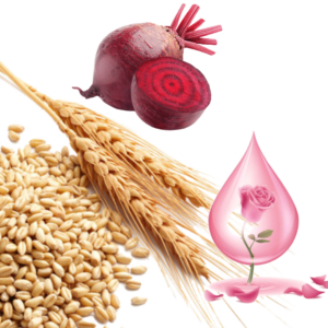 गेंहू, चुकंदर & गुलाबजल<br>Wheat, Beetroot & Rose Water